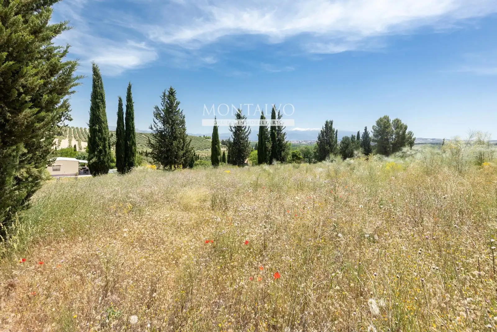 Land for sale in Pinos Puente