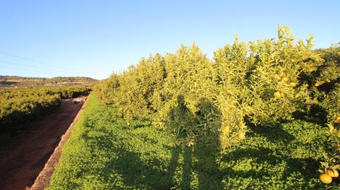 Foto 5 de Residencial en venda a Poligono Poligono   3, Doctor Palos - Alto Palancia, Valencia