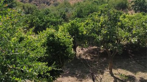 Foto 5 de Finca rústica en venta en Calle Almeria, 42, Lubrín, Almería