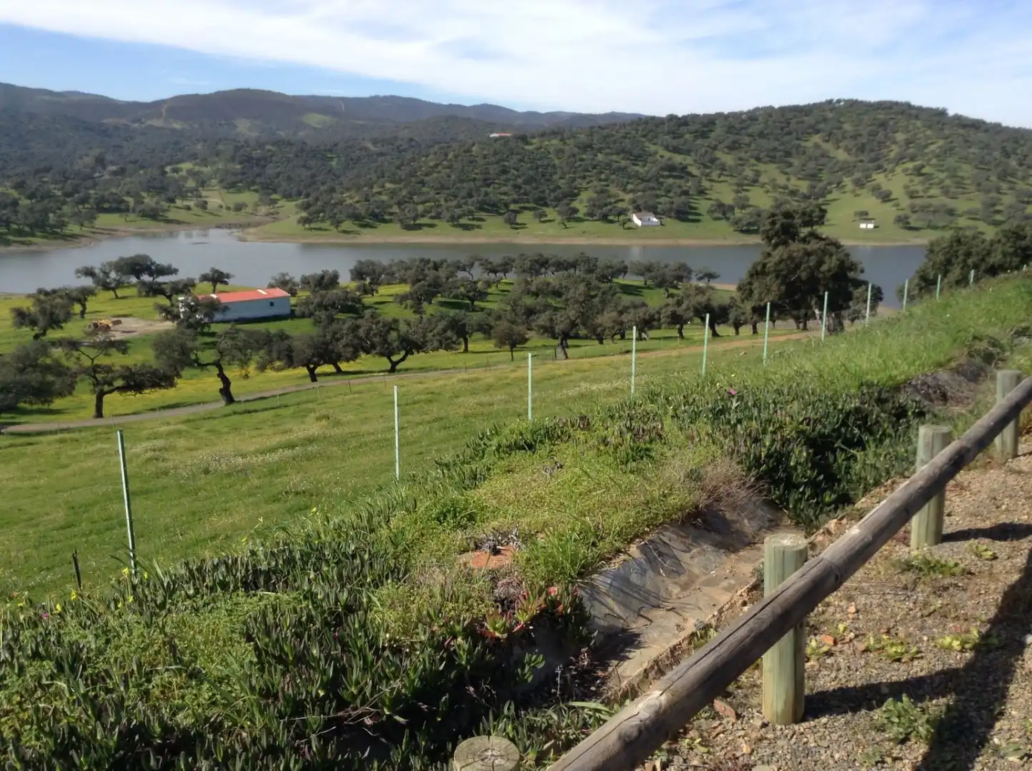 Terrains et parcelles à vendre à Corteconcepción, imagen 11