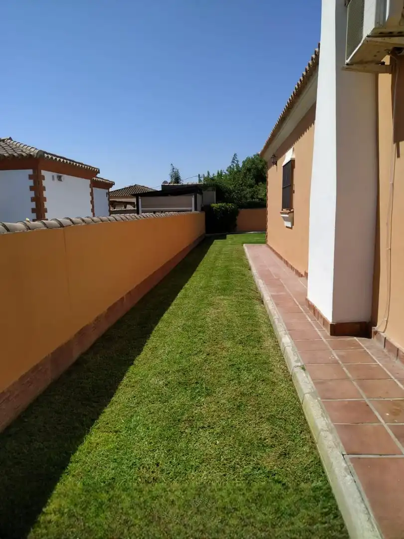 Detached house with garden for sale in Camino Camino del Pozo Boyal, imagen 18