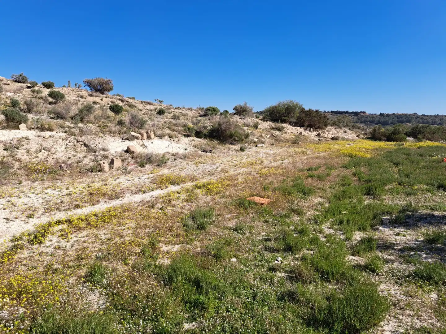 Terreno rustico in vendita a Plaça Industrial Garganta, imagen 10