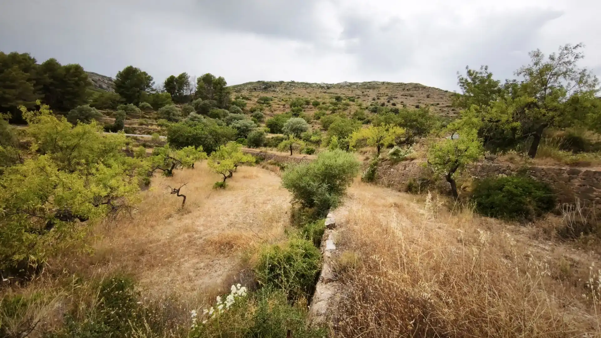 Finca rústica en venta en Useras /  Les Useres con Jardín privado