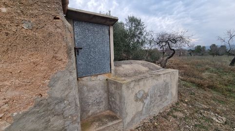 Económica Finca, con antigua caseta de campo de 25 M2 en El Perello, image 5