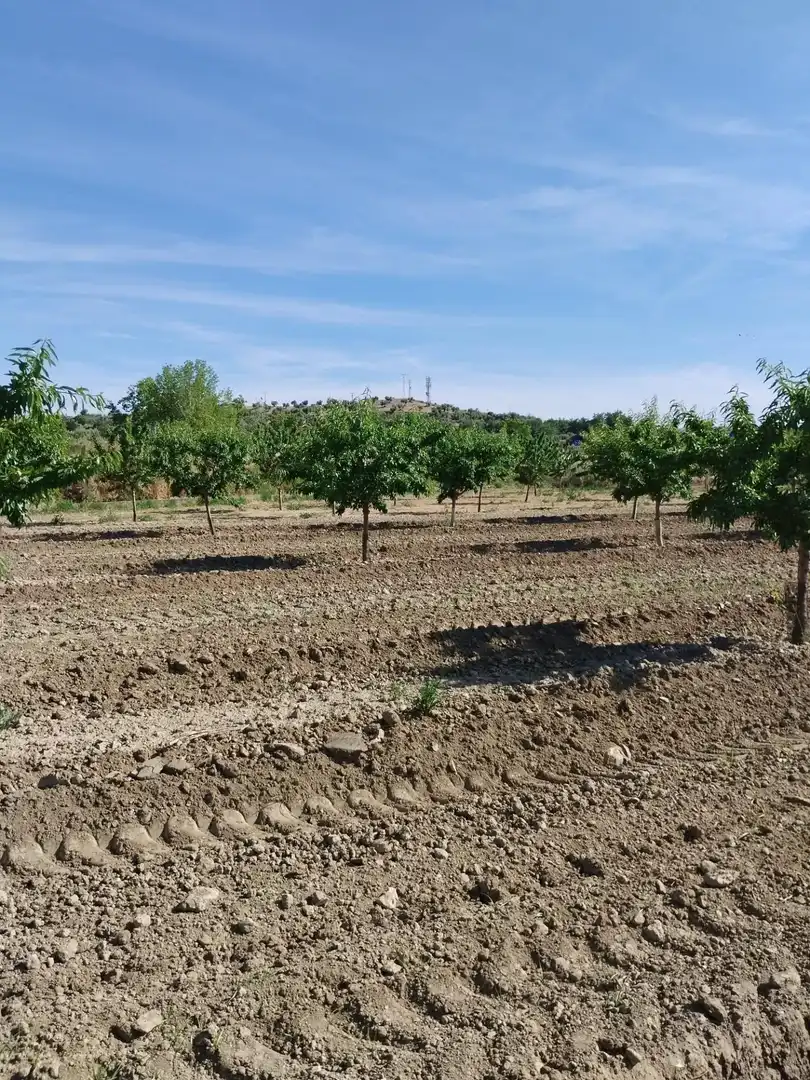 Terreni e lotti in vendita a Villa de Otura, imagen 10