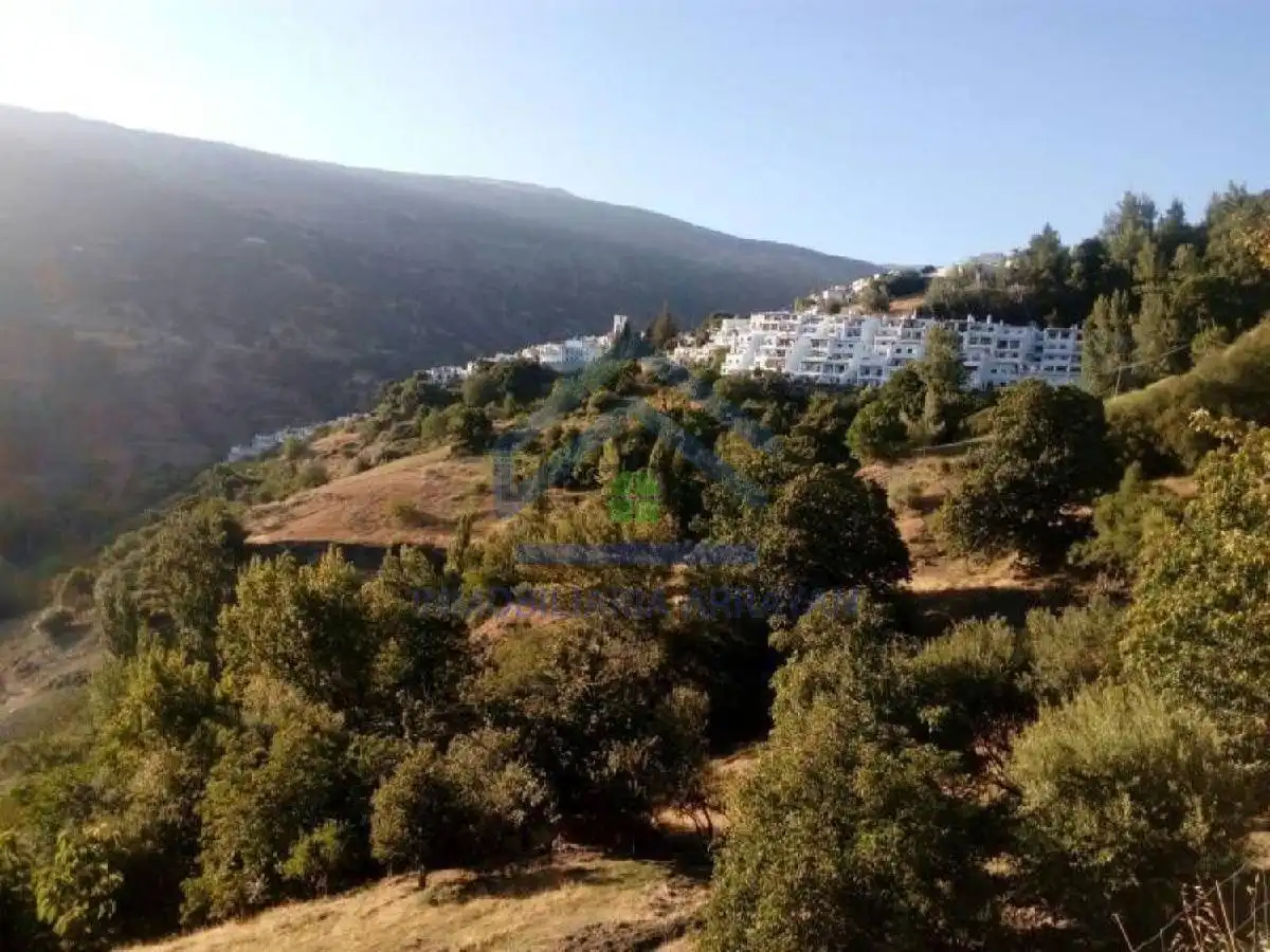 Vista exterior de Piso en venta en Capileira con Jardín privado