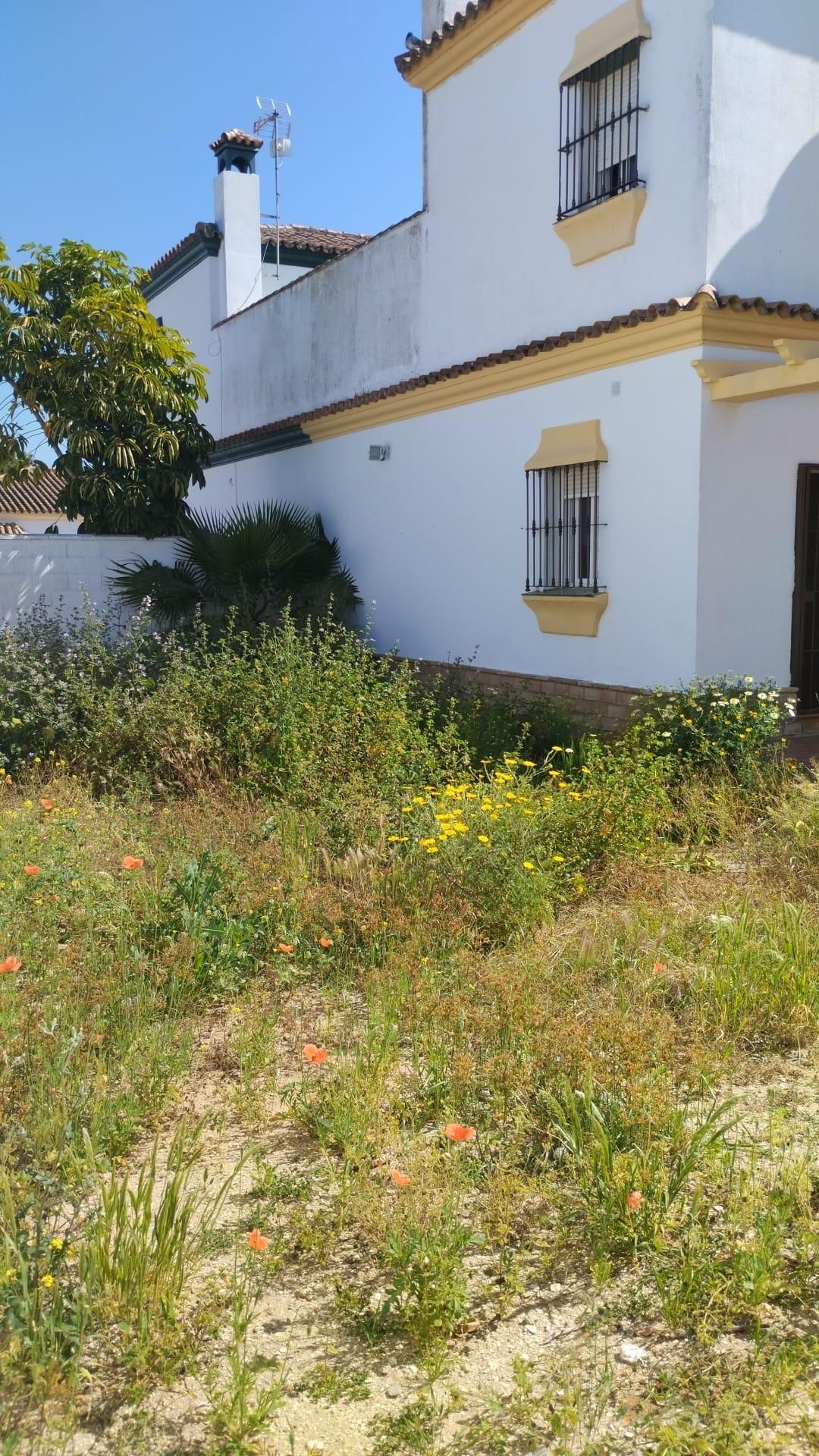 Casa o xalet en venda en Chiclana de la Frontera amb Calefacció i Jardí privat