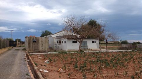 Venta finca rústica de uso agrario en la huerta de MoncadaValencia,22.230m2, vivienda, picadero, y 6 boxes para caballos. Precio 2, Bild 3