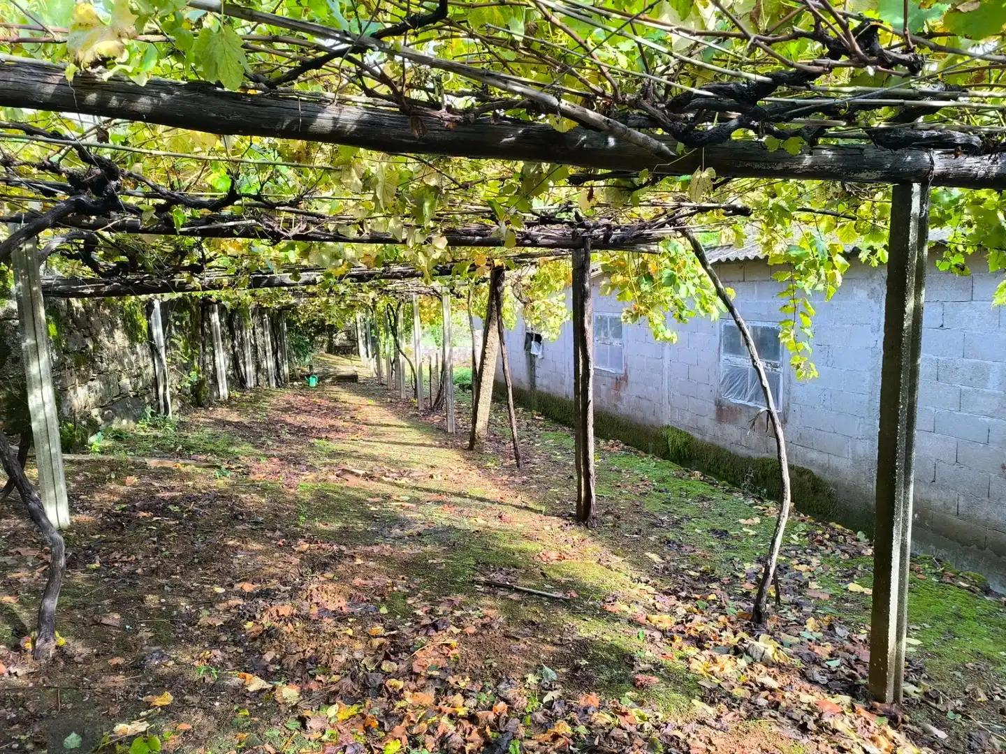 Jardín de Casa o chalet en venta en Santiago de Compostela  con Jardín privado