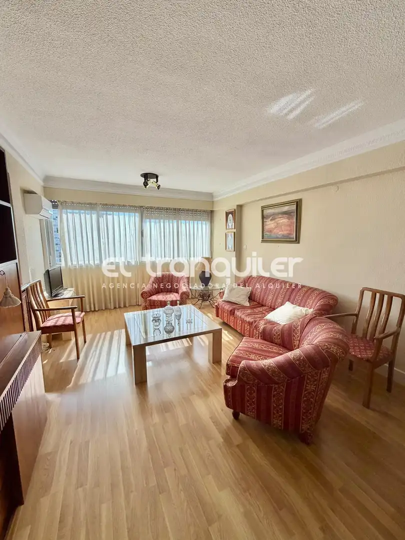 Sala de estar de Piso de alquiler en Madrid con Aire acondicionado, Terraza y Amueblado