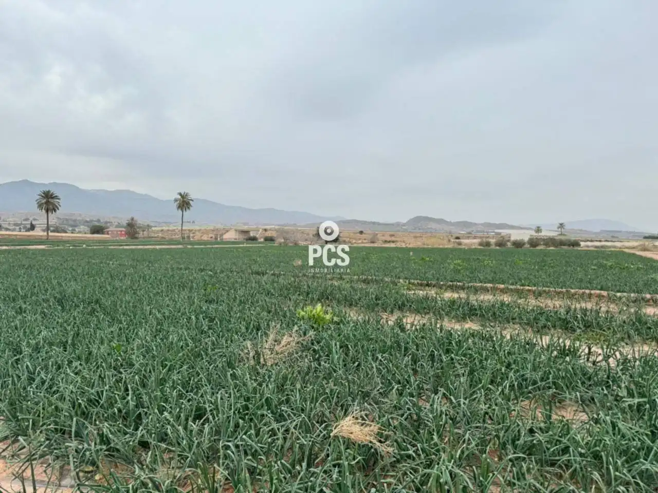 Terreny rústic en venda a Camino Huertos Nuevos Zona Ñorica S/N, imagen 13