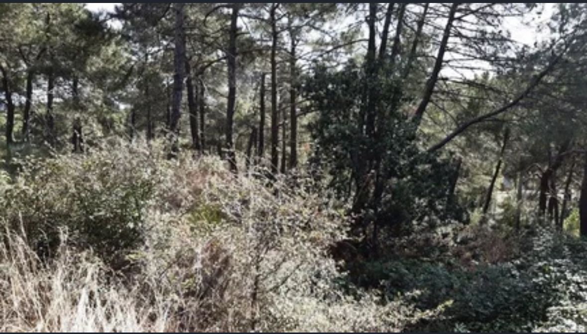 Residencial en venta en Cadalso de los Vidrios