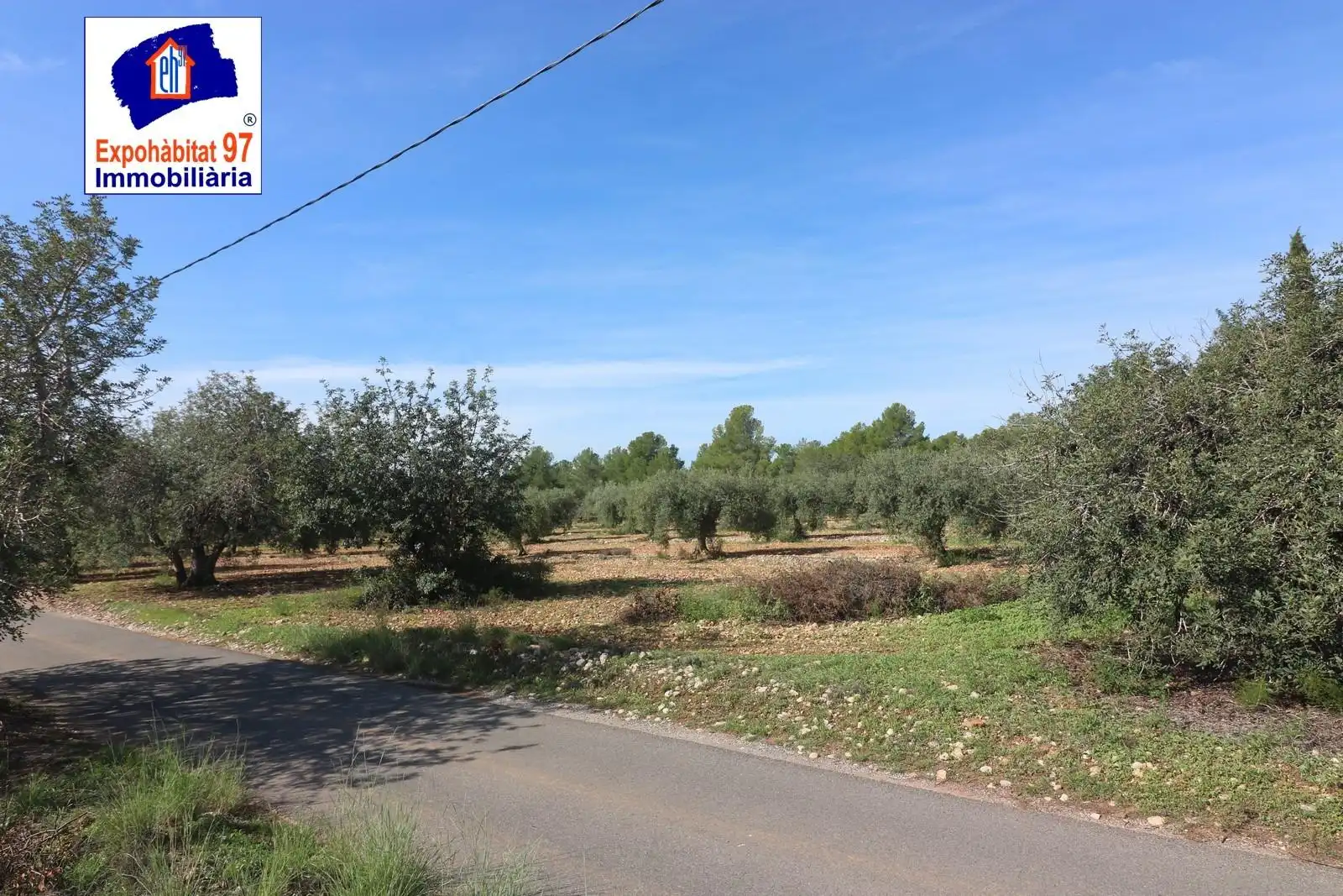 Lands and plots for sale in Carrer Partida Tarrès, imagen 6