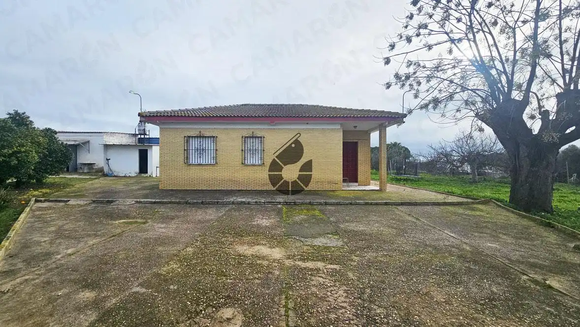 Landhaus zum Verkauf in La Puebla del Río, imagen 16