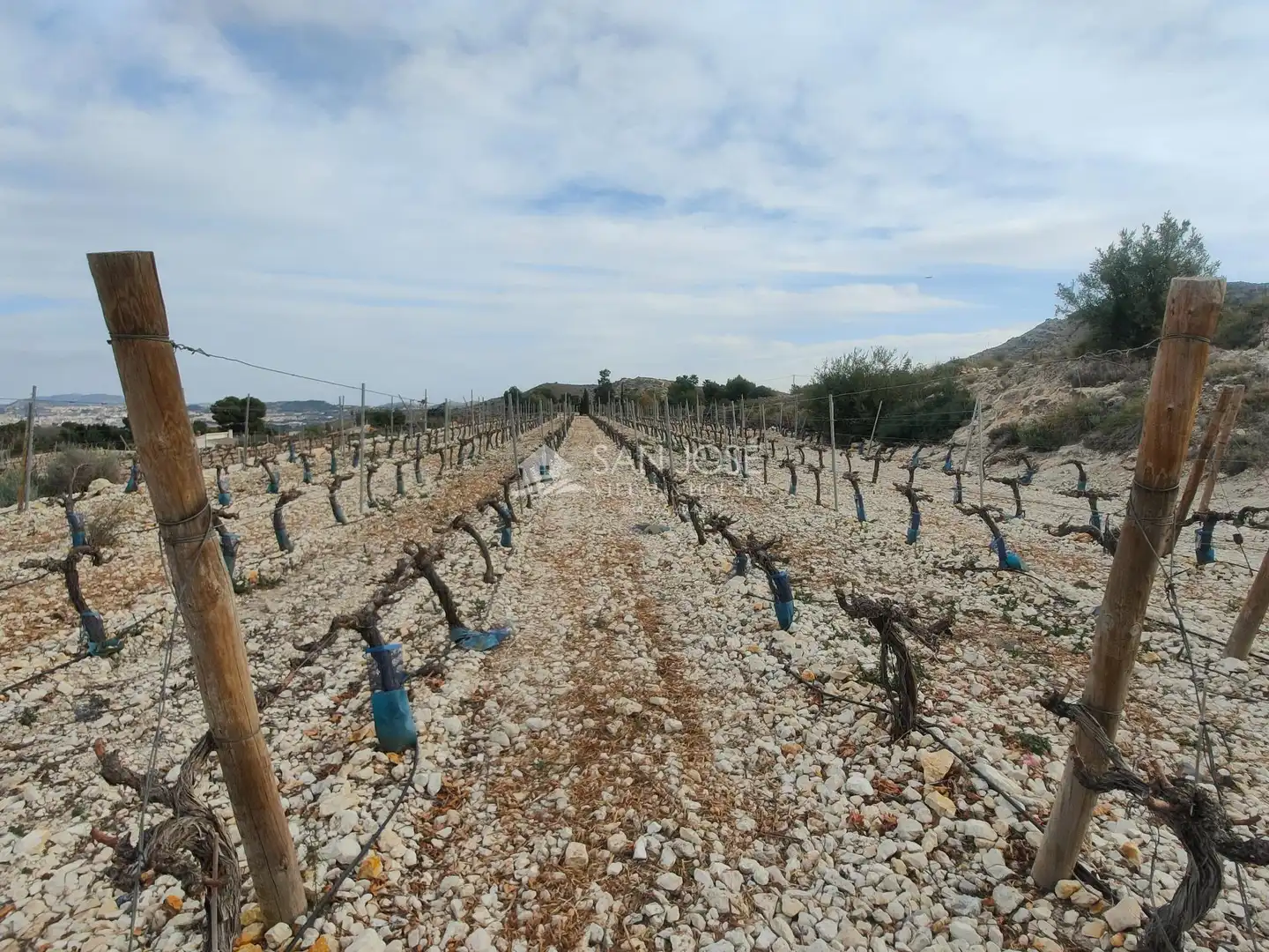Terreno residenziale in vendita a Pedanías Oeste, imagen 2