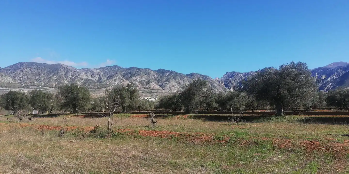 Casa rústica en venda a Marchena 1, imagen 10