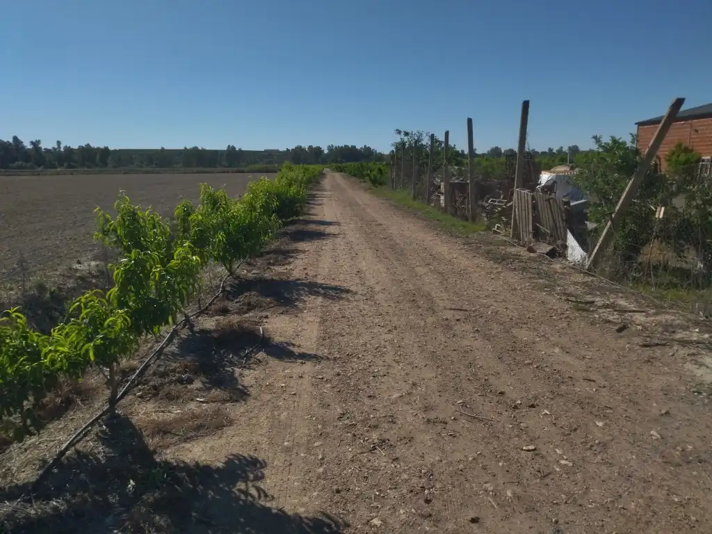 Terreno en venta en Campo Lugar