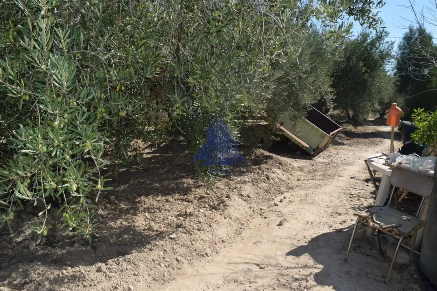 Xalet amb terrassa en venda a Partida la Matanza, imagen 9