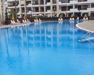Swimming pool of Apartment for sale in Arona  with Furnished, Balcony and Community pool