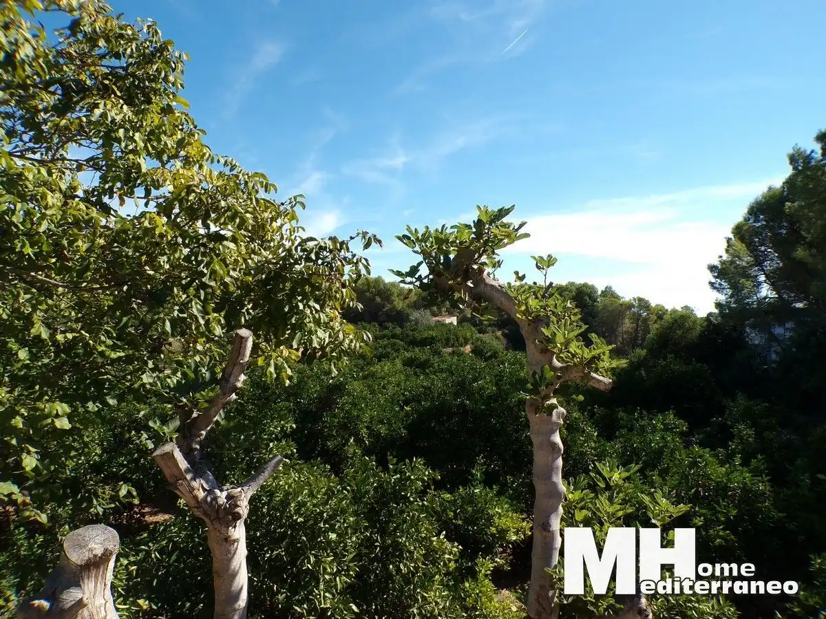 Rural land for sale in LES CHARRETES 15, imagen 9
