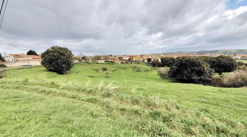 FINCA CENTRICA EN AJO.