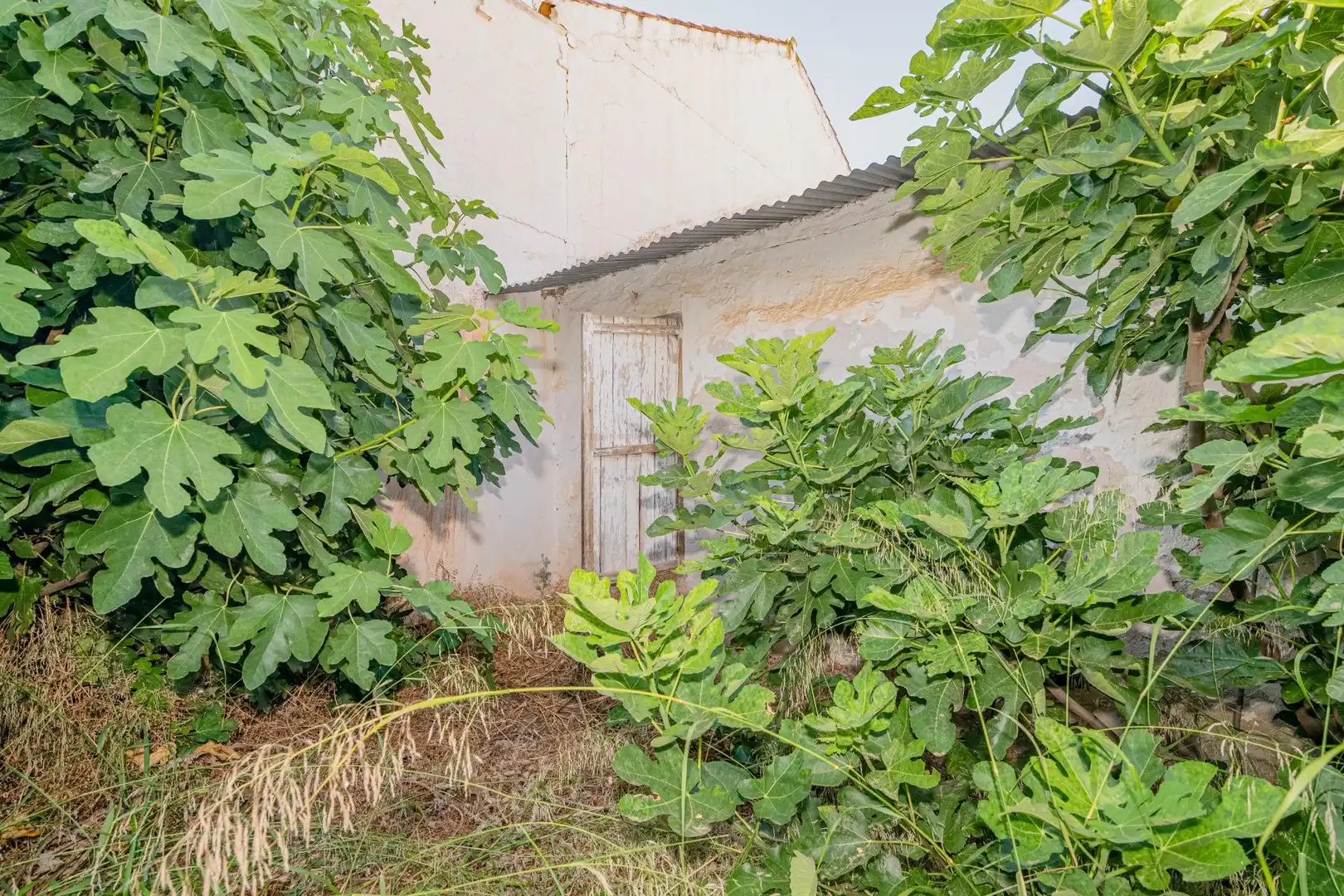 Finca rústica en venda en Iznájar