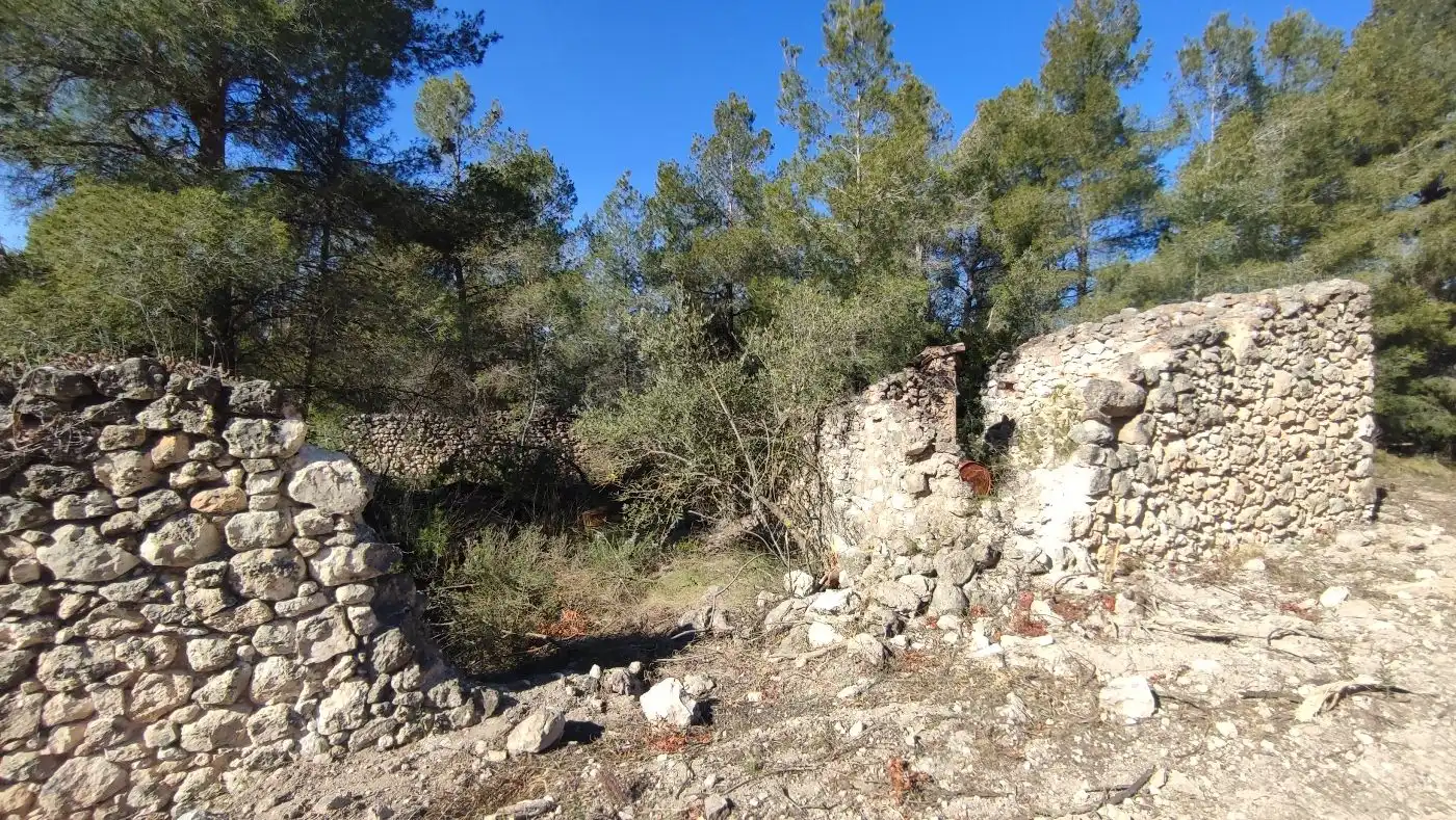 Rural land for sale in Carrer de les Pinyeres 24, imagen 9