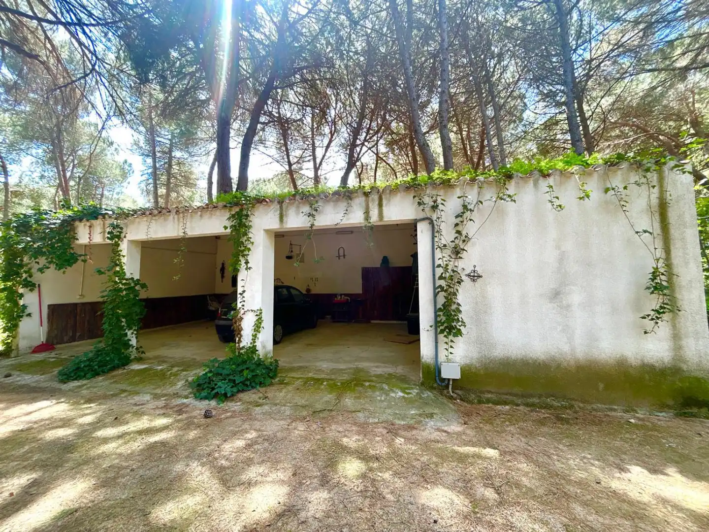 Jardín de Casa o chalet en venta en Albacete con Aire acondicionado, Calefacción y Trastero