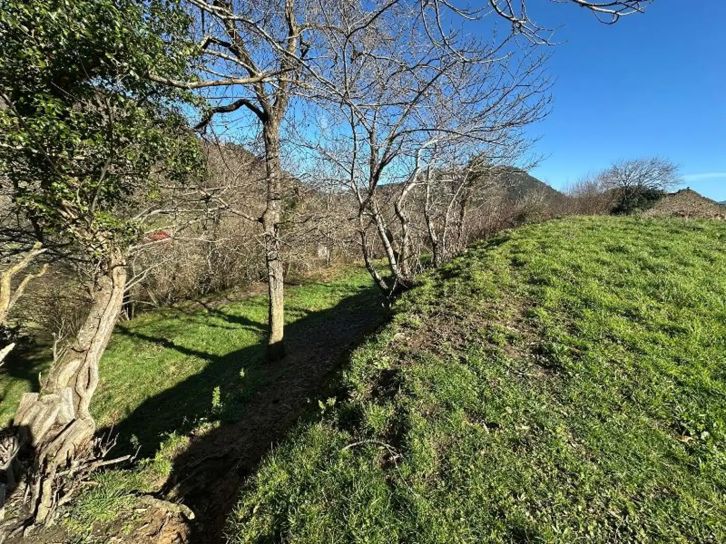 Rural land for sale in Peñamellera Baja - narganes, imagen 8