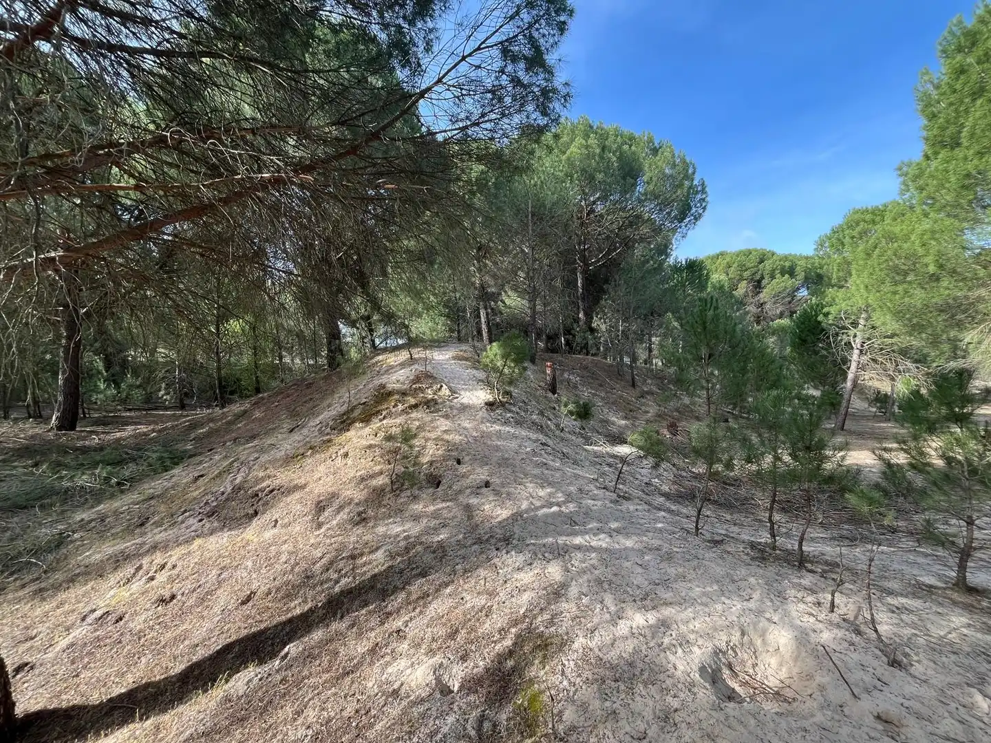 Terreno en venta en Tudela de Duero