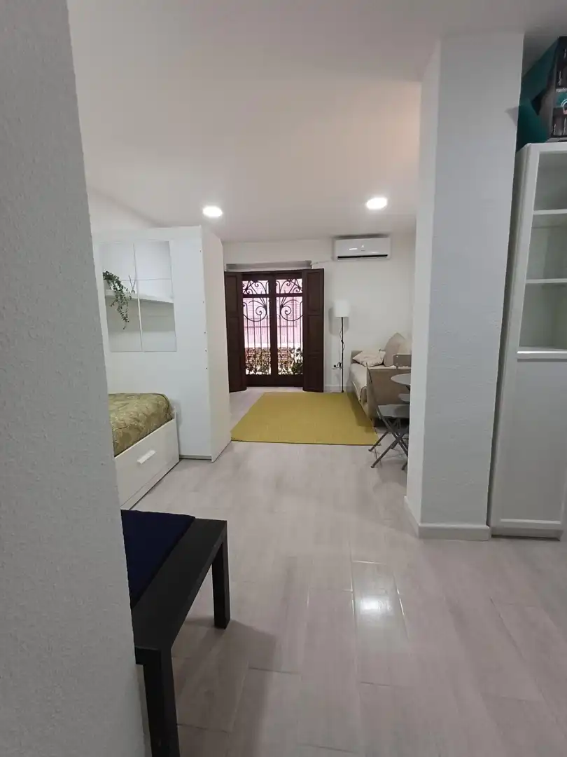 Sala de estar de Estudio de alquiler en Murcia con Aire acondicionado, Calefacción y Amueblado