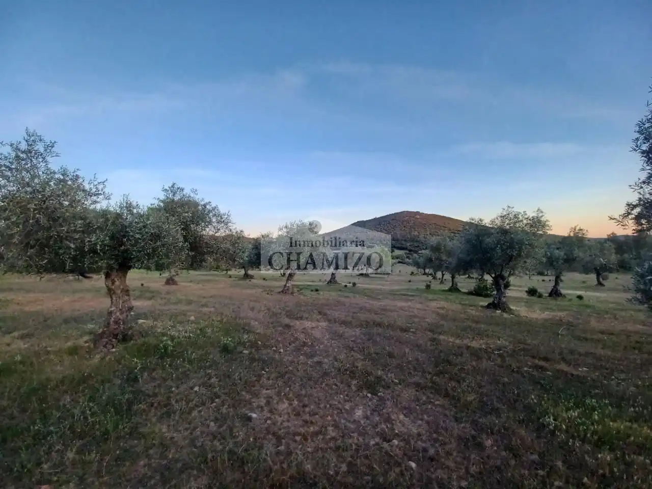 Grundstücke zum Verkauf in Peraleda del Zaucejo