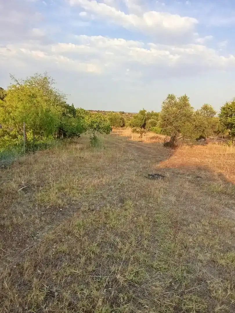 Finca rústica en venda en Arroyo de la Luz amb Jardí privat, Piscina i Moblat