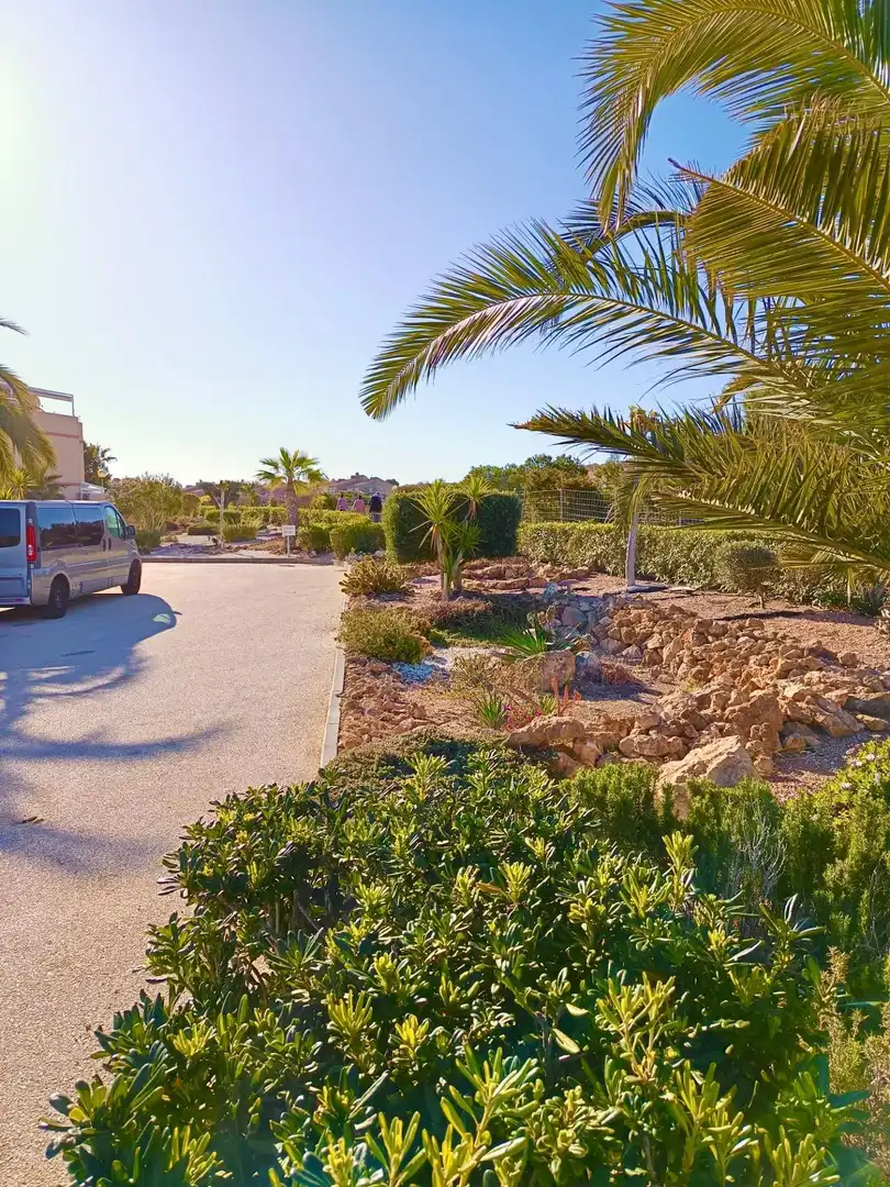 Vista exterior de Casa adosada en venda en Santa Pola amb Jardí privat i Piscina comunitària