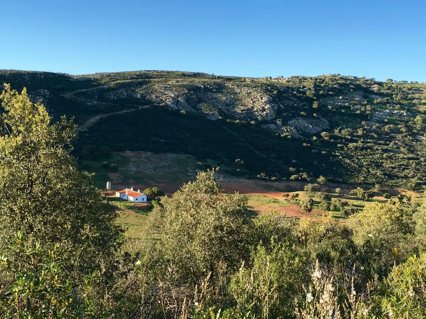 Casa rústica en venda a Almodóvar del Campo, imagen 8