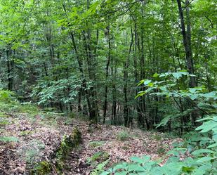 Grundstücke zum verkauf in Garganta la Olla