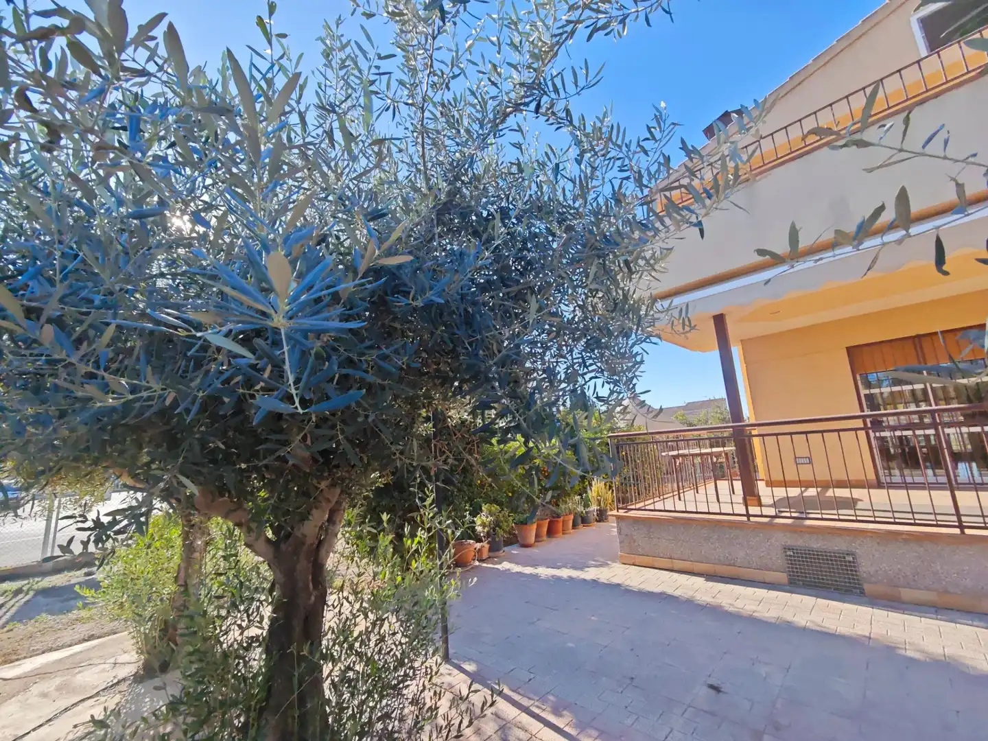 Garden of Houses for sale in Murcia  with Terrace