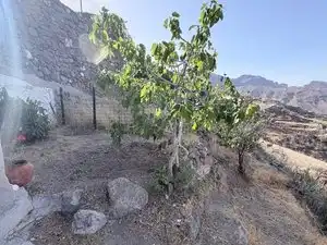 Casa o xalet en venda en Tejeda amb Jardí privat, Terrassa i Traster