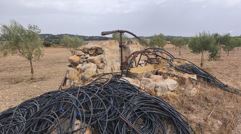 Finca con pozo y plantación de oliveras, immagine 5
