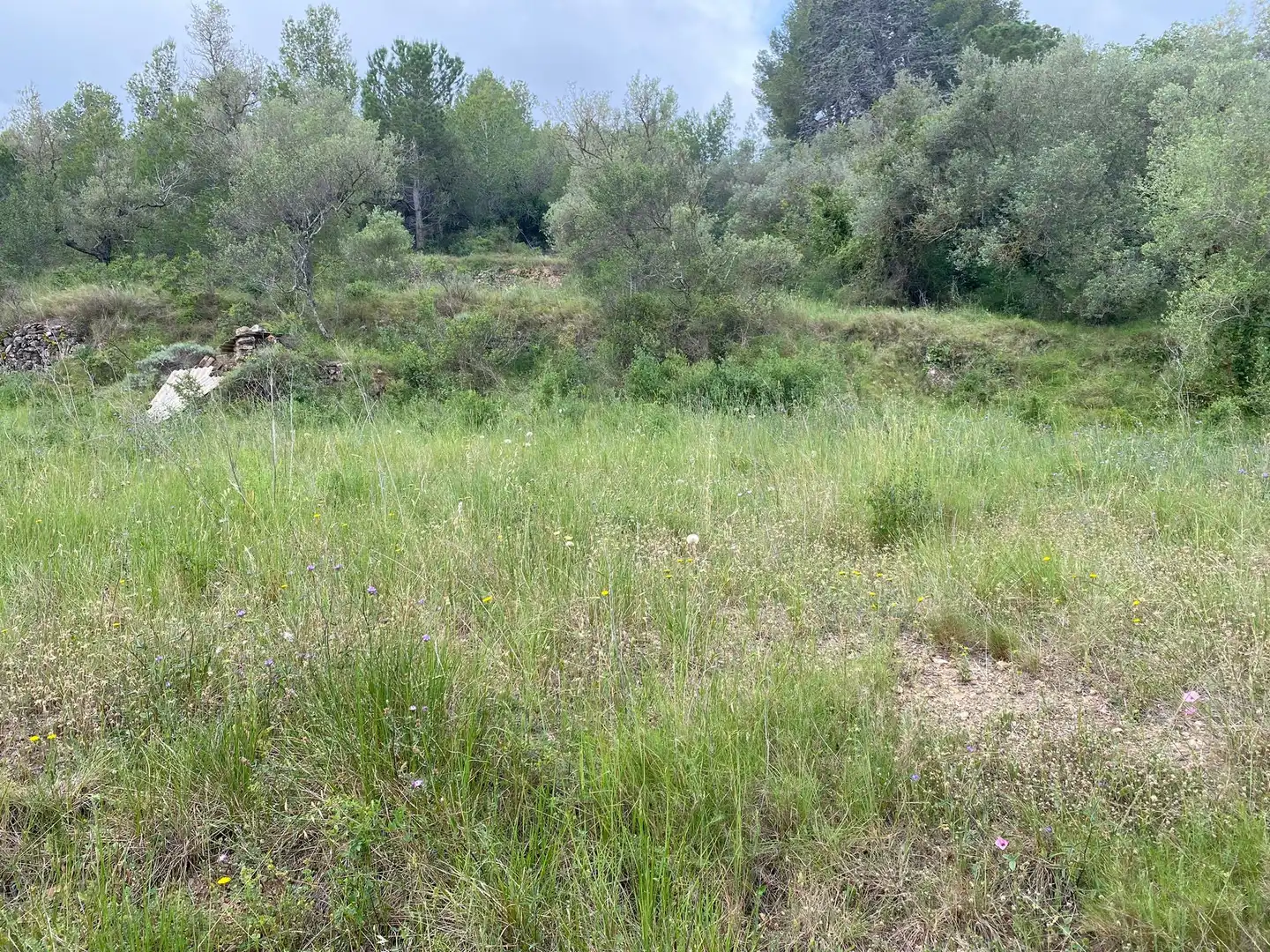 Terreny residencial en venda a Castellvell del Camp, imagen 2