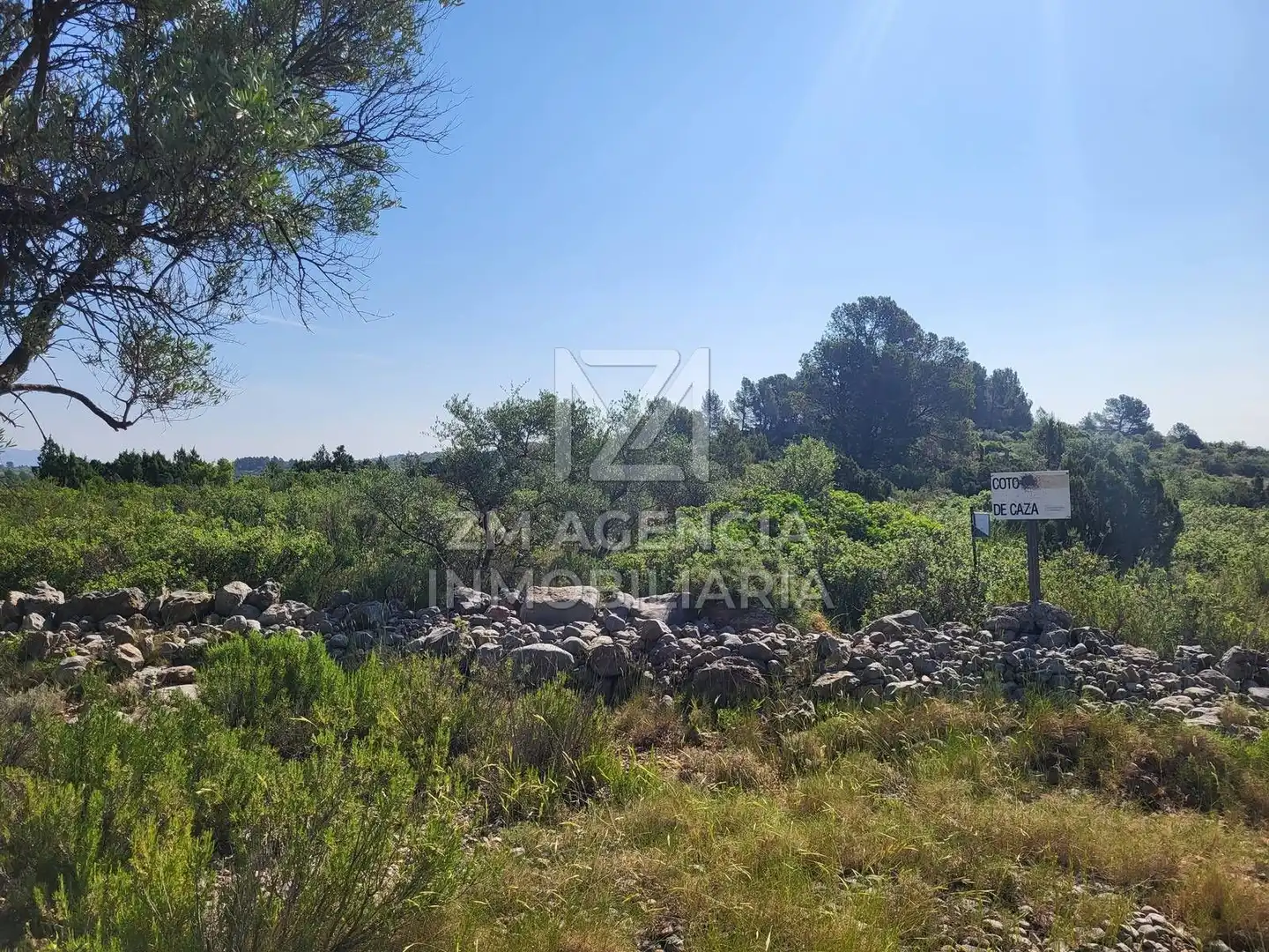 Terreno rustico in vendita a Canet lo Roig, imagen 3