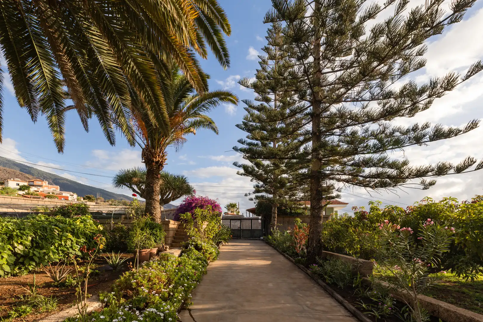 Jardí de Casa o xalet en venda en Candelaria amb Aire condicionat, Jardí privat i Terrassa