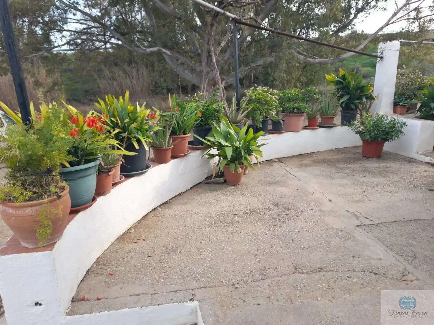Jardí de Finca rústica en venda en Mijas