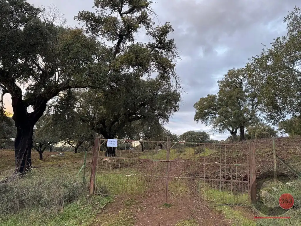 Casa o xalet en venda en Cáceres