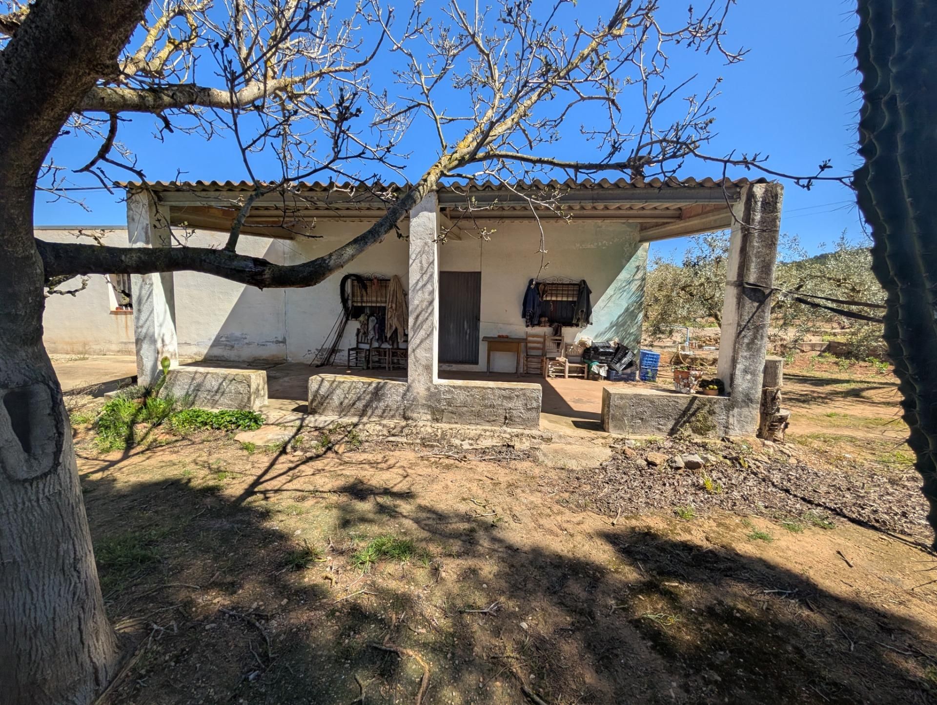 Land for sale in Ulldecona