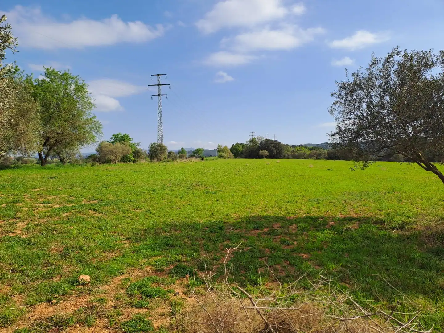 Land for sale in Terrassa