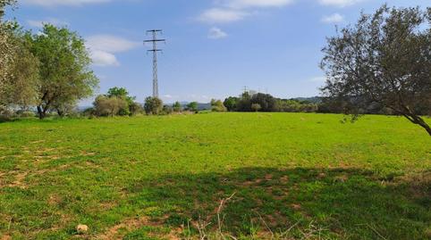 Photo 3 of Land for sale in Polígon Industrial Santa Margarida, Barcelona
