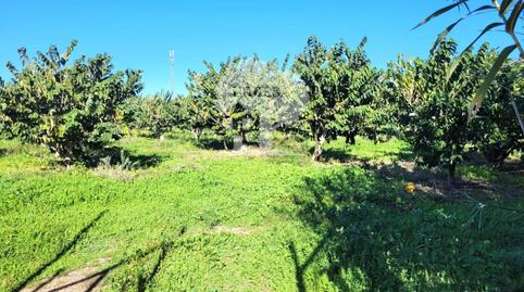 Photo 5 of Land for sale in Los Tablones - La Garnatilla, Granada