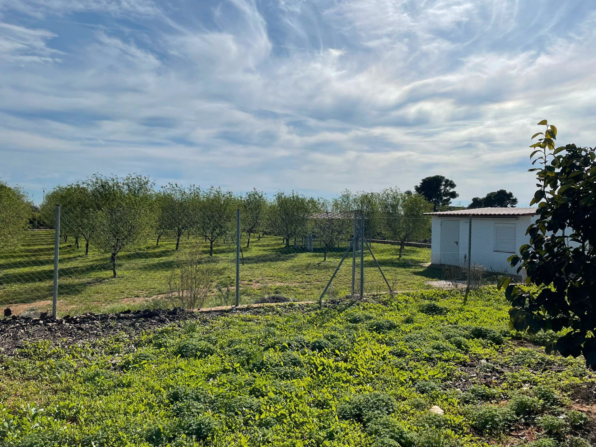 Terreno en venta en Alcàsser