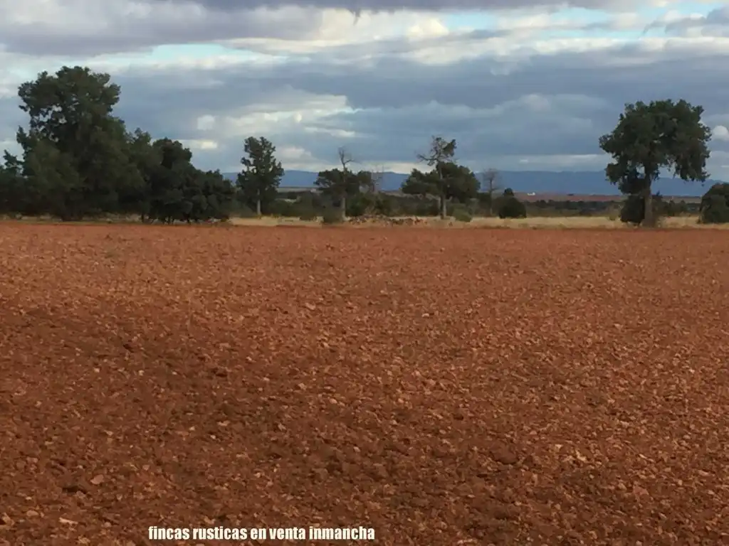 Terreni e lotti in vendita a Munera, imagen 23